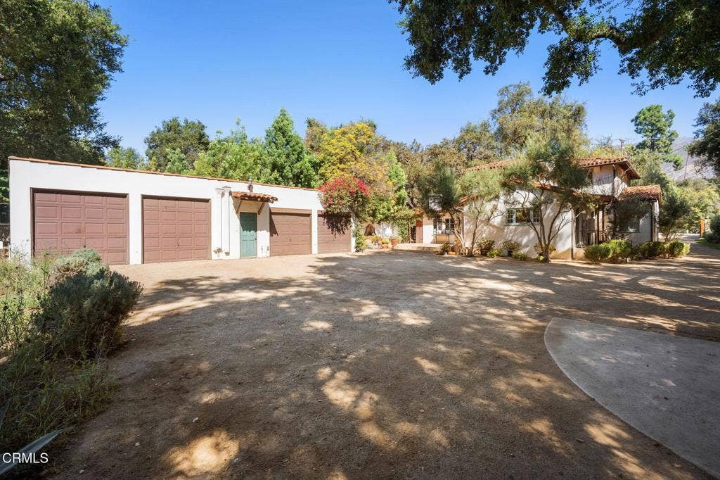 52-web-or-mls-DSC03164