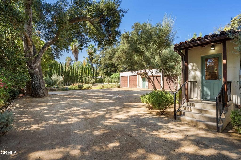 53-web-or-mls-DSC03144