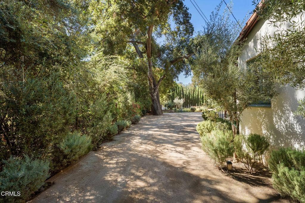 54-web-or-mls-DSC03139