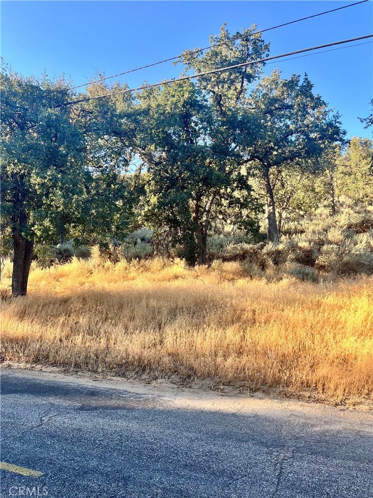 Property photo for 0 Alps Drive, Alpine Forest, CA
