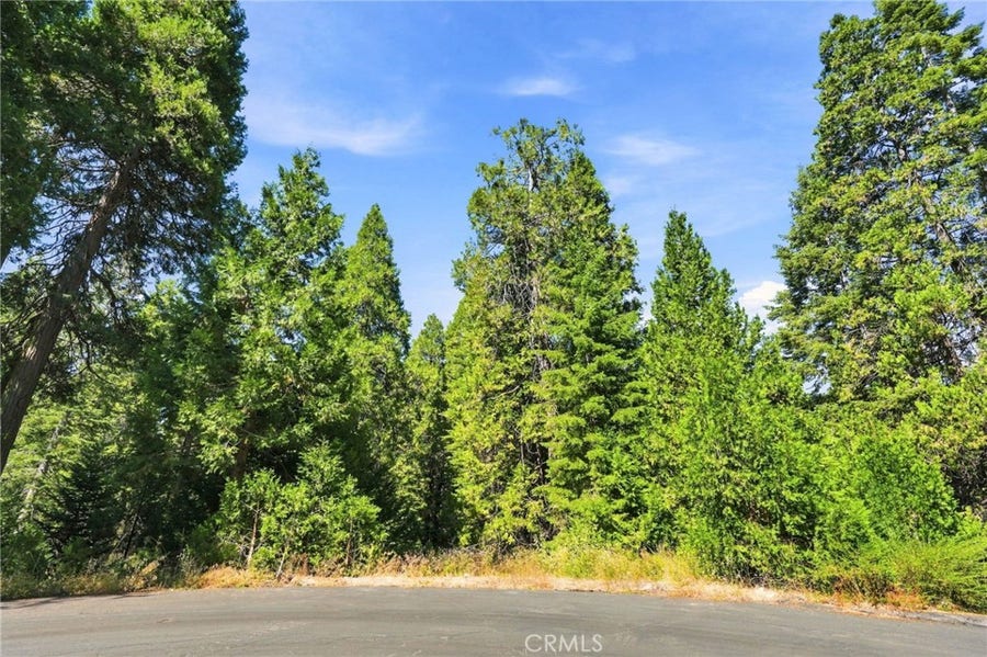 Property photo for 39730 Fox Glove Lane, Shaver Lake, CA