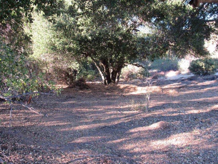 Property photo for 2115 N Campo Truck Trail, Campo, CA