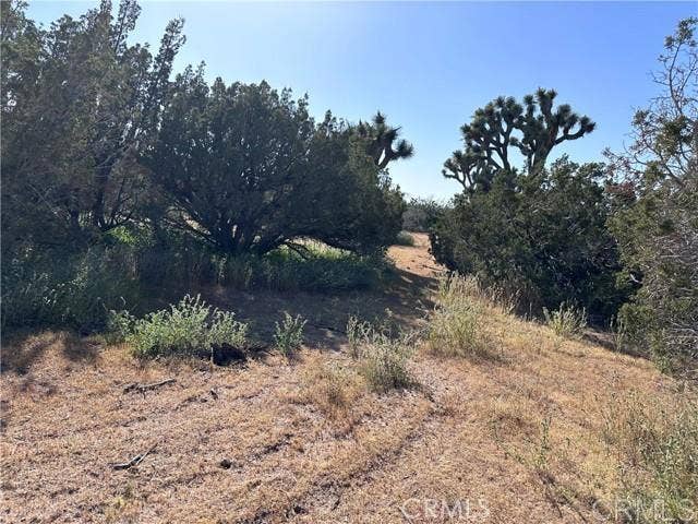 Property photo for Daisy Road, Oak Hills, CA