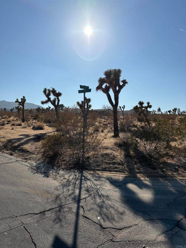 Property photo for 0 Division Street, Joshua Tree, CA