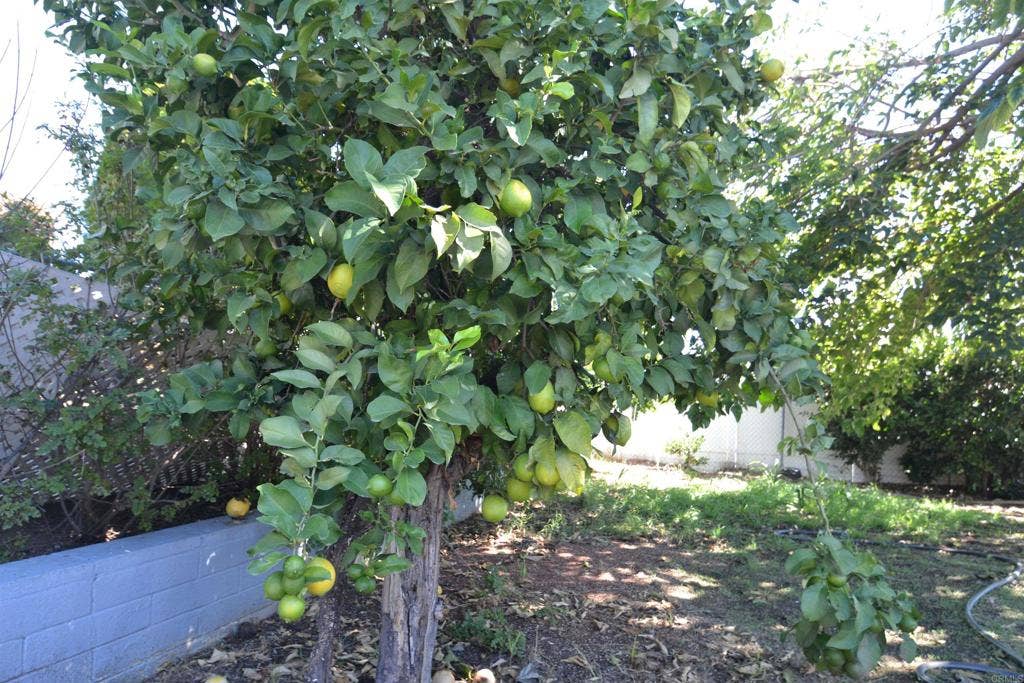 10343 Woodwayne Drive, Santee, CA 92071 10343 Woodwayne Drive, Santee, CA 92071