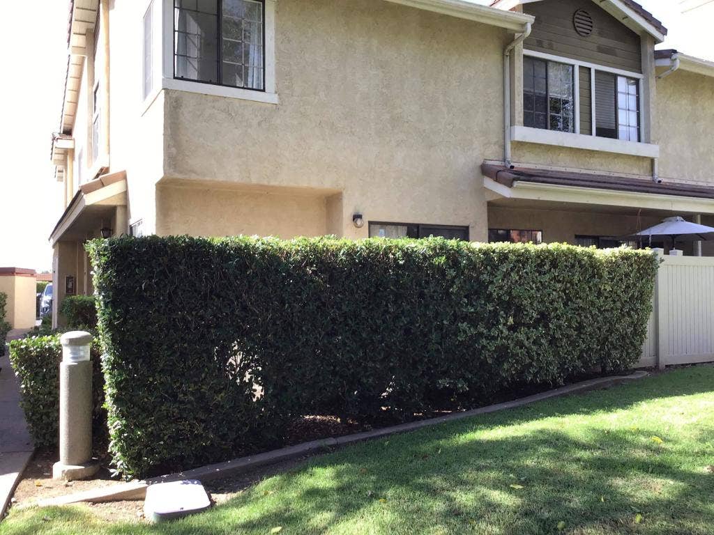 10140 Palm Glen Drive, #29, Santee, CA 92071 10140 Palm Glen Drive, #29, Santee, CA 92071