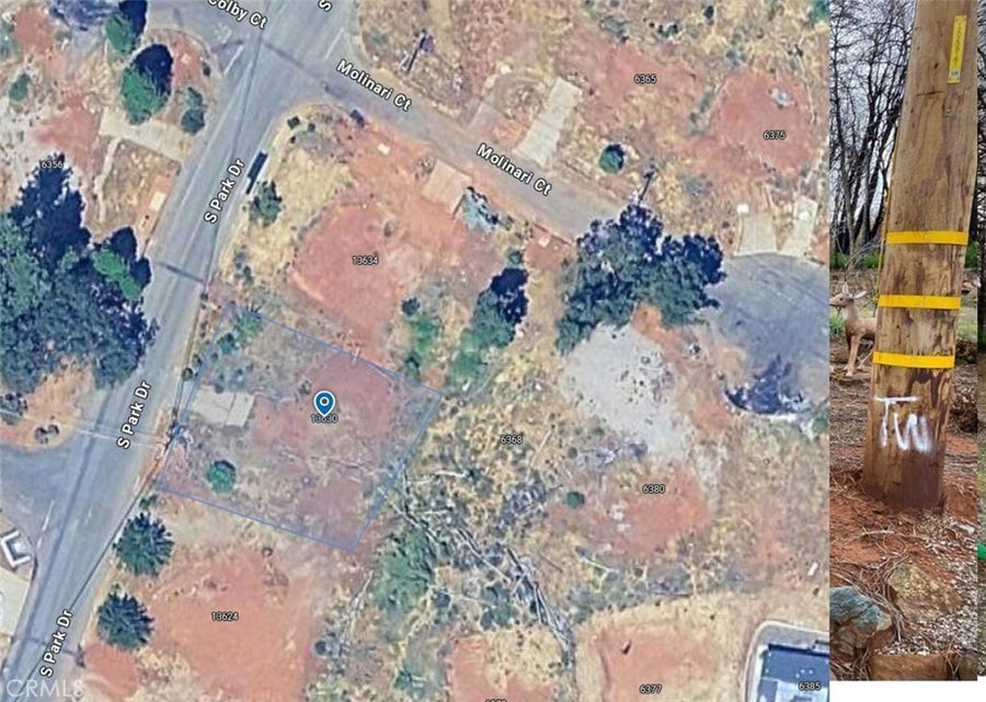 Property photo for 13630 S Park, Magalia, CA