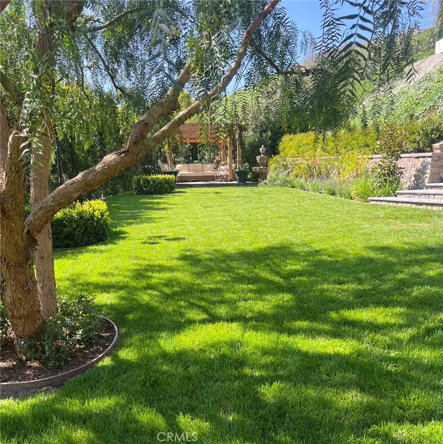 Huge Grassy Area