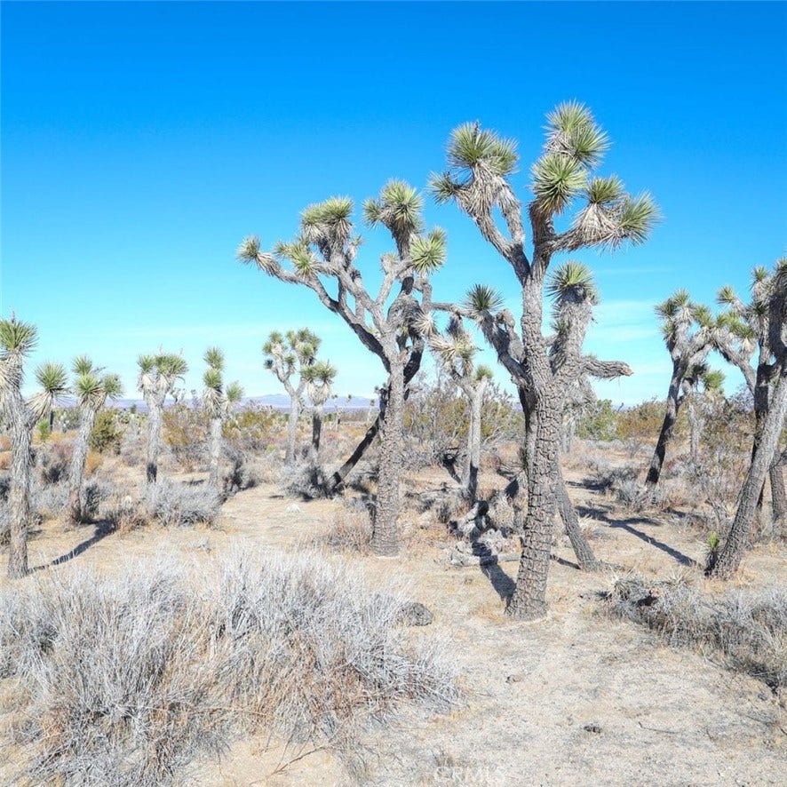 Property photo for 0 W AVE 12, Llano, CA