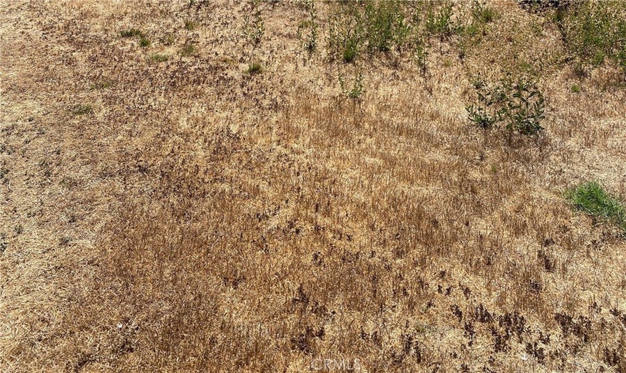 Property photo for 0 Vac/Ave G/Vic 125 Stw, Antelope Acres, CA