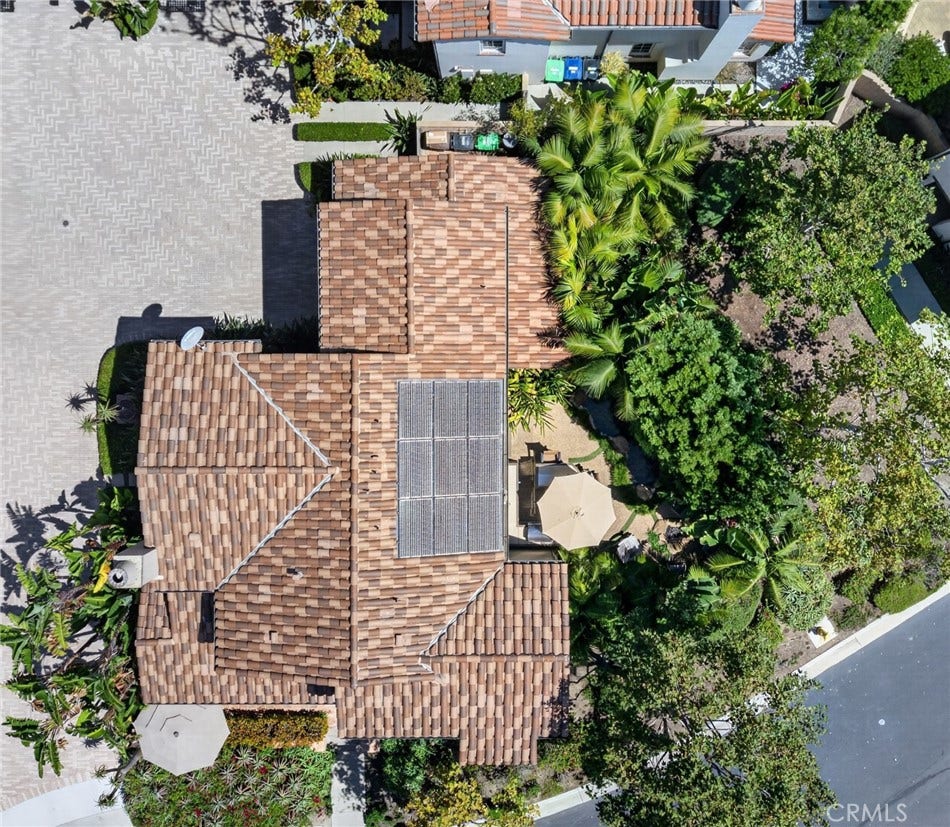 Tropical Oasis