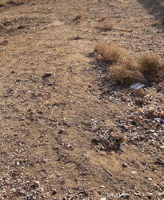 Property photo for 0 Newgrove, Del Sur, CA