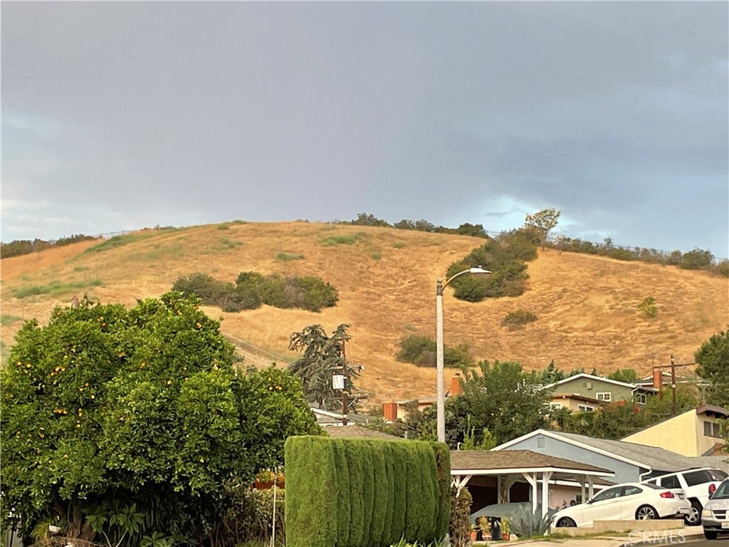 Local Neighborhoods below