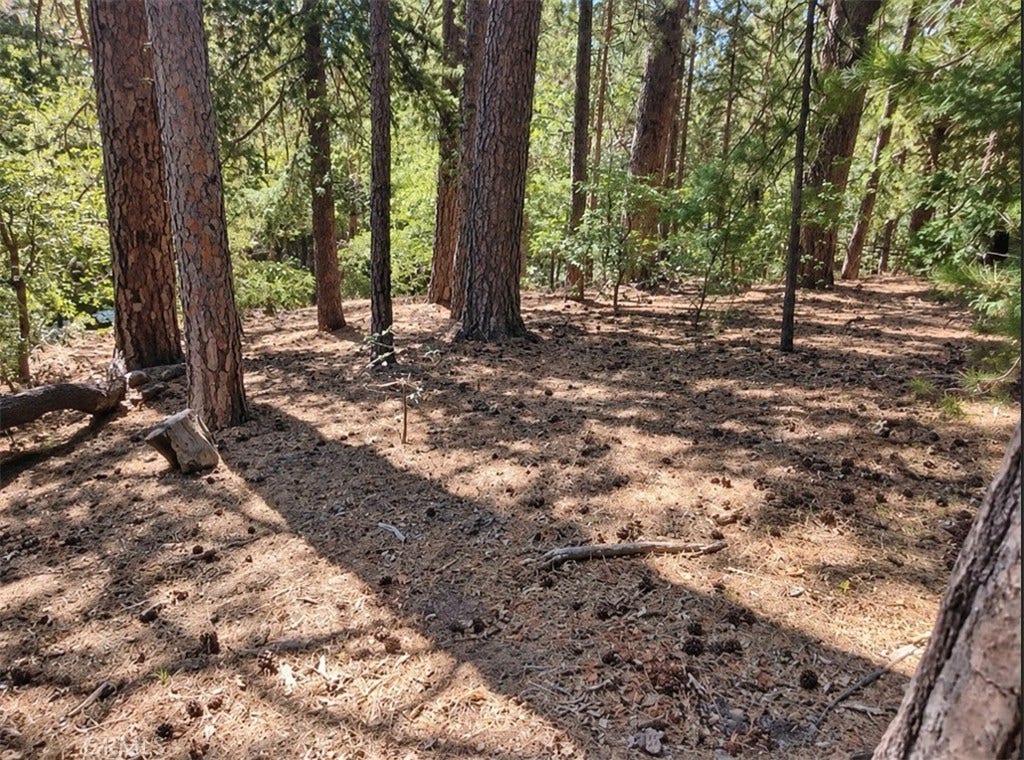 131 Golf Course Road, Lake Arrowhead, CA 92352 131 Golf Course Road, Lake Arrowhead, CA 92352