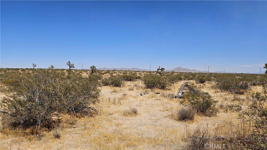24204 Aster Road, Adelanto, CA 92301 24204 Aster Road, Adelanto, CA 92301
