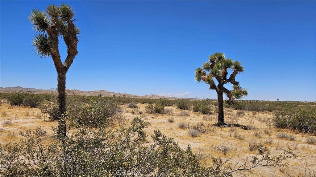 24204 Aster Road, Adelanto, CA 92301 24204 Aster Road, Adelanto, CA 92301
