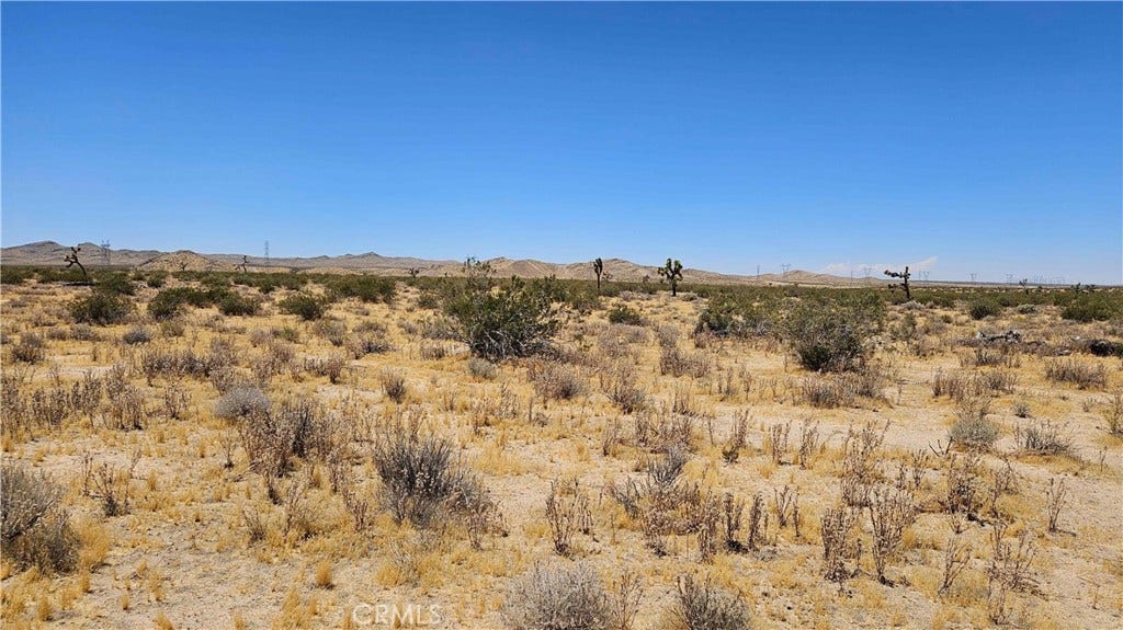 24204 Aster Road, Adelanto, CA 92301 24204 Aster Road, Adelanto, CA 92301