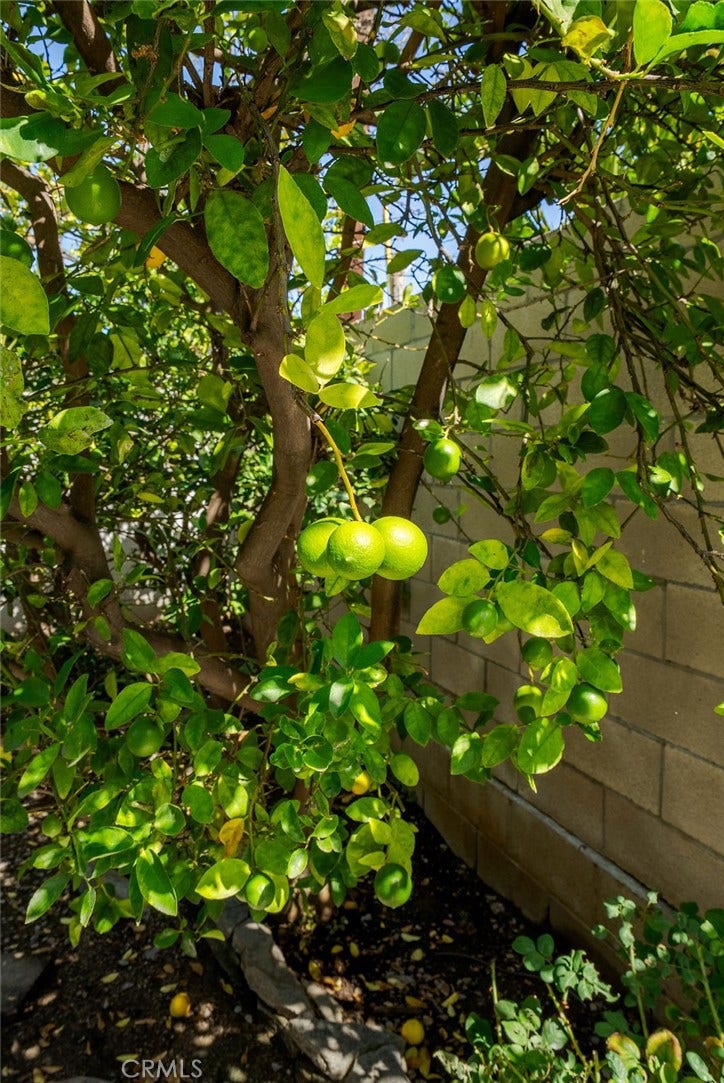 3005 E Ruth Place, Orange, CA 92869 3005 E Ruth Place, Orange, CA 92869