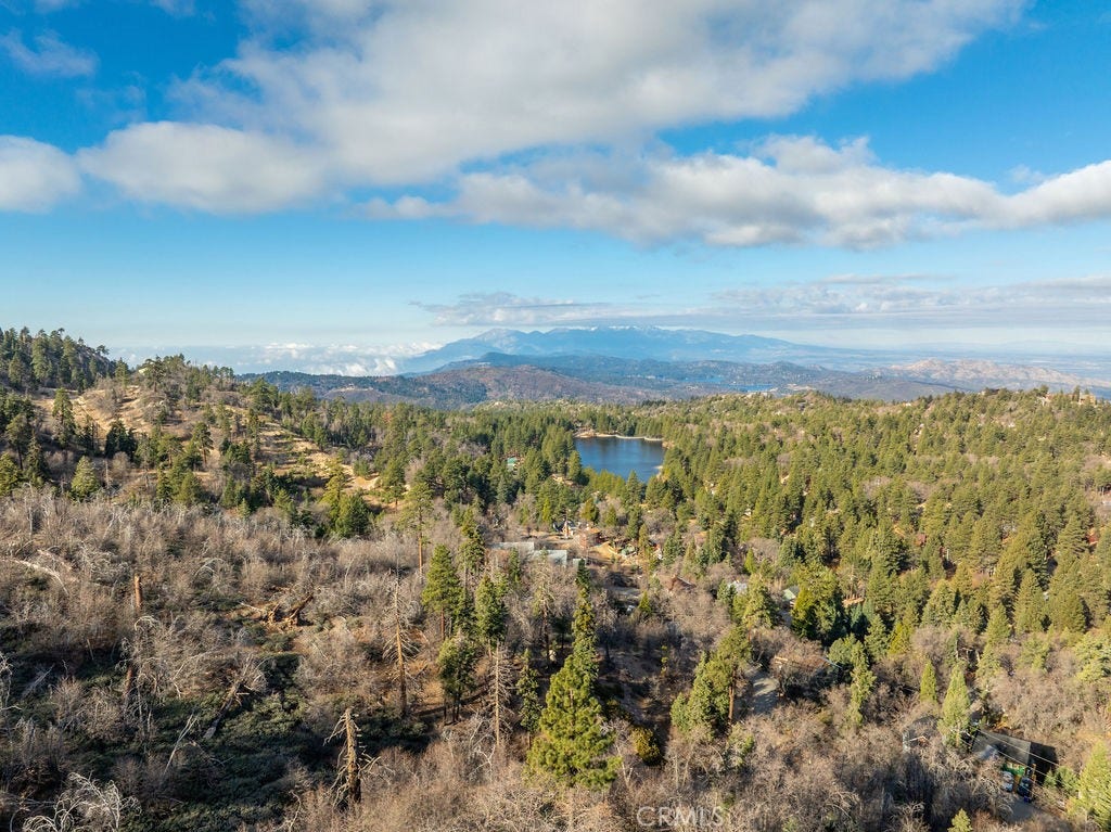 272 Manzanita Drive, Green Valley Lake, CA 92341 272 Manzanita Drive, Green Valley Lake, CA 92341