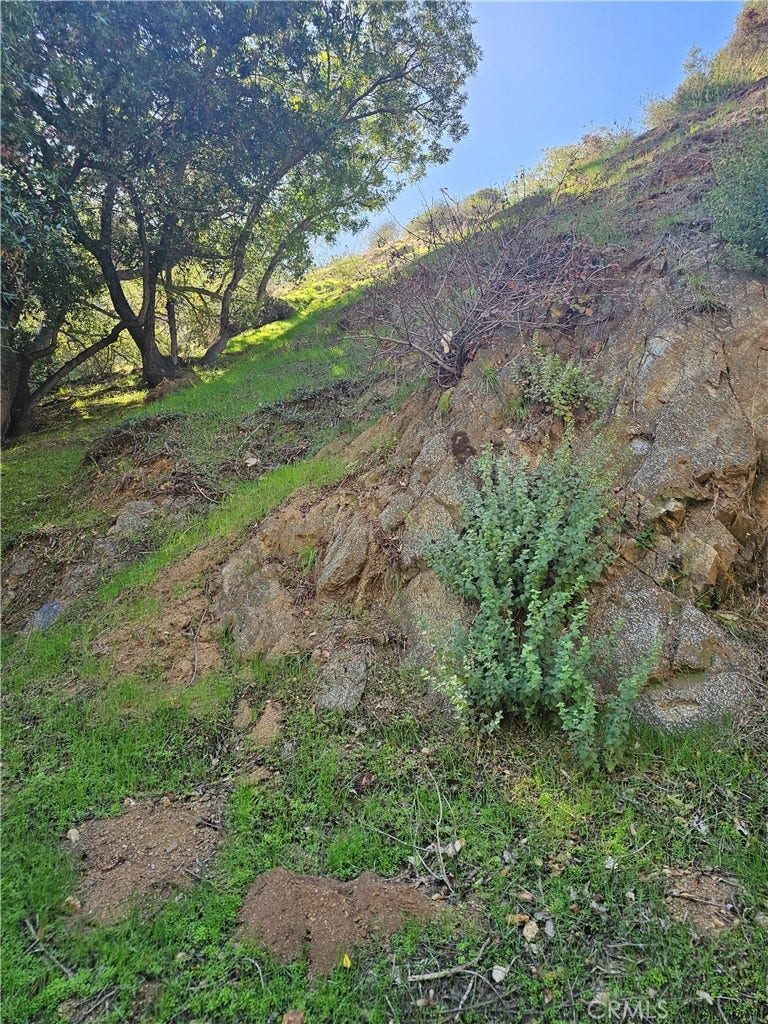 Property photo for 2145 Laurel canyon Boulevard, Los Angeles, CA