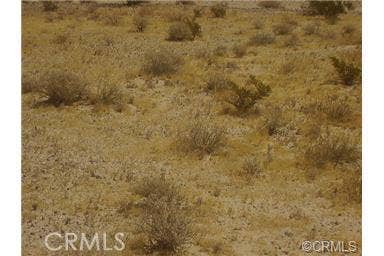 Property photo for 48925 Yermo Road, Newberry Springs, CA