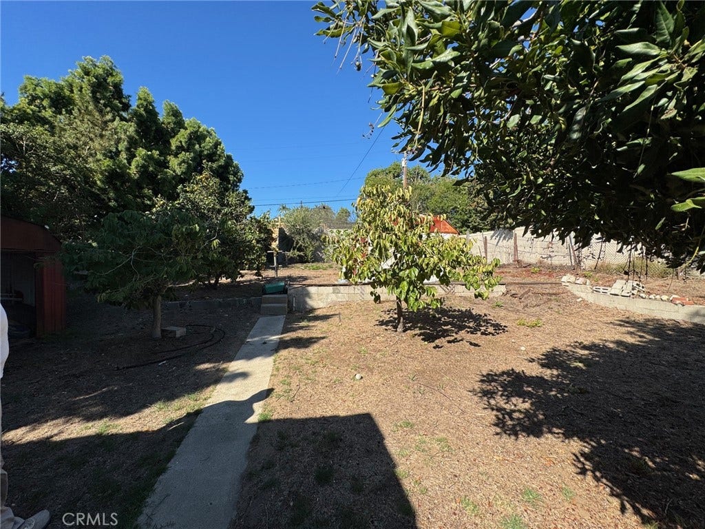 Backyard facing west