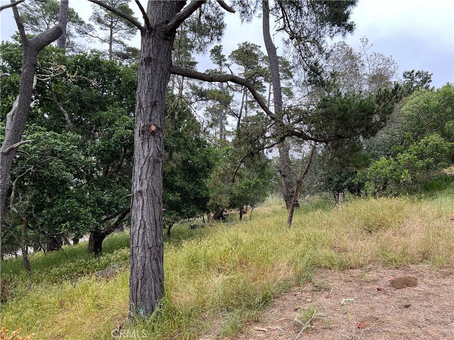 Property photo for 0 Norton Lane, Cambria, CA
