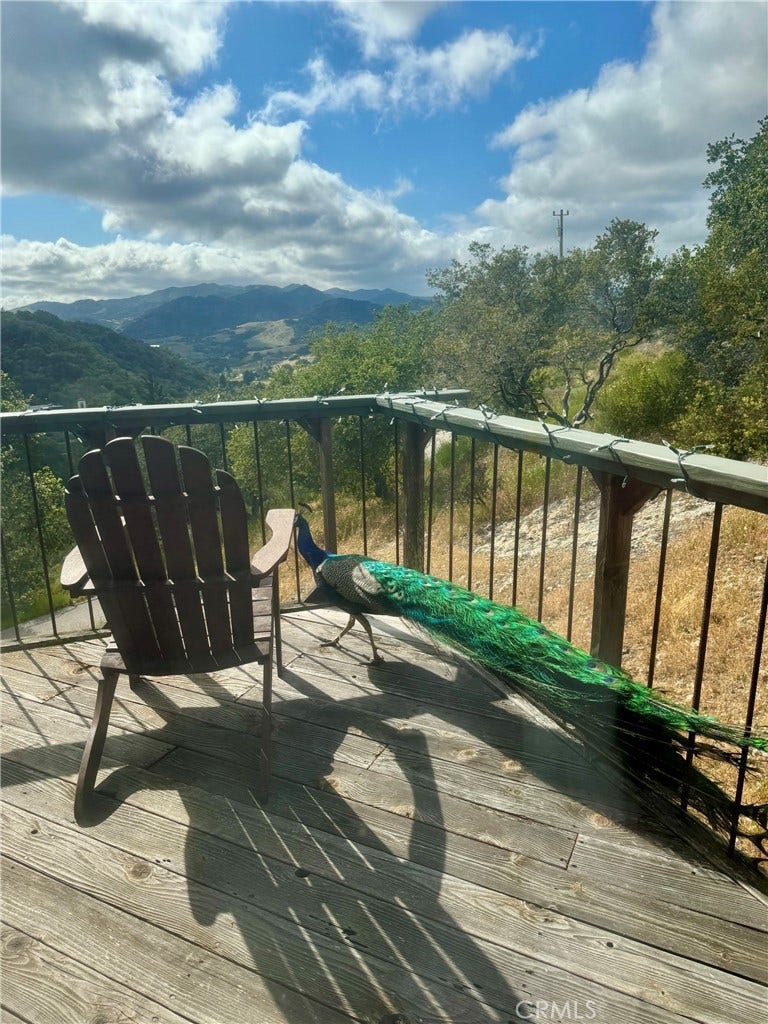 456 Squire Canyon Road, San Luis Obispo, CA 93401 456 Squire Canyon Road, San Luis Obispo, CA 93401