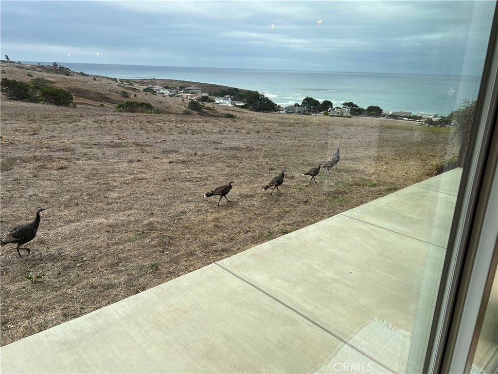 526 Huntington Road, Cambria, CA 93428 526 Huntington Road, Cambria, CA 93428