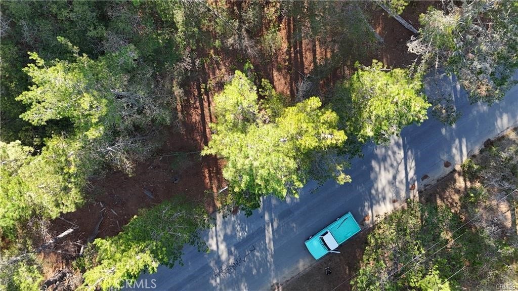 1955 Avon Avenue, Cambria, CA 93428
