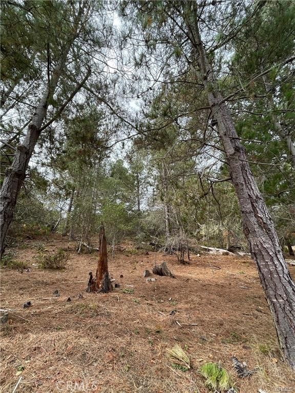 1955 Avon Avenue, Cambria, CA 93428