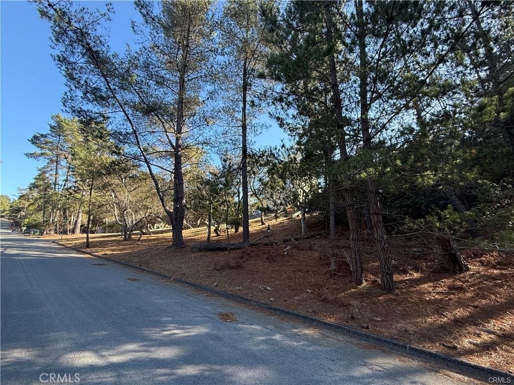 1955 Avon Avenue, Cambria, CA 93428