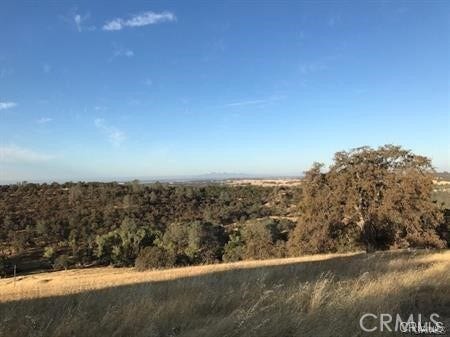 Property photo for 0 Avacado, Bangor, CA