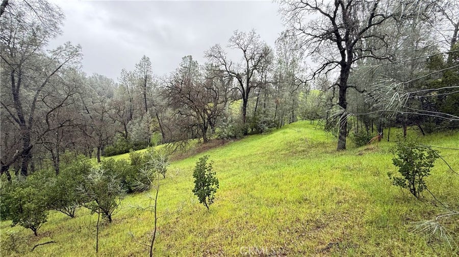 Property photo for 16370 Oakridge Road, Corning, CA