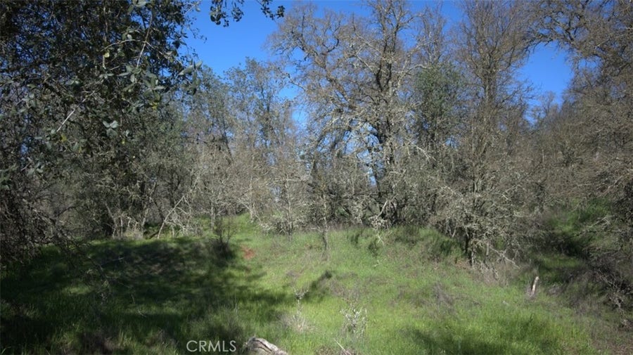 Property photo for 123 Rail Bridge Rd, Oroville, CA