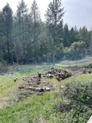 Property photo for 178 Bloomer Hill Rd, Berry Creek, CA
