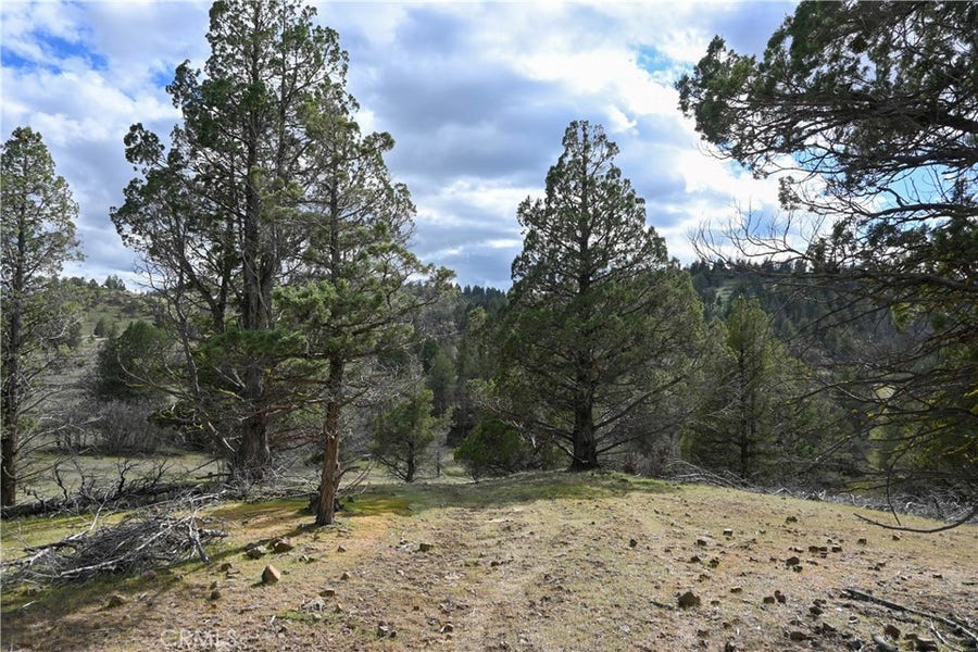 Property photo for 0 Willit Way, Montague, CA