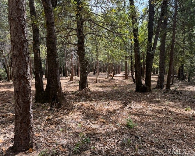 Property photo for 0 Platt Mountain Road, Forest Ranch, CA