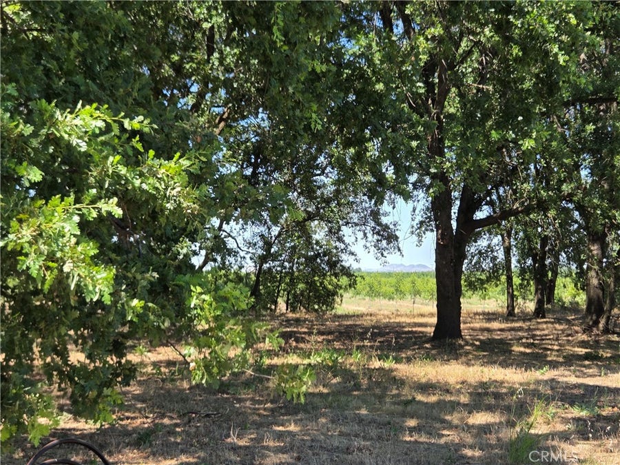 Property photo for 0 N. B STREET, Tehama, CA