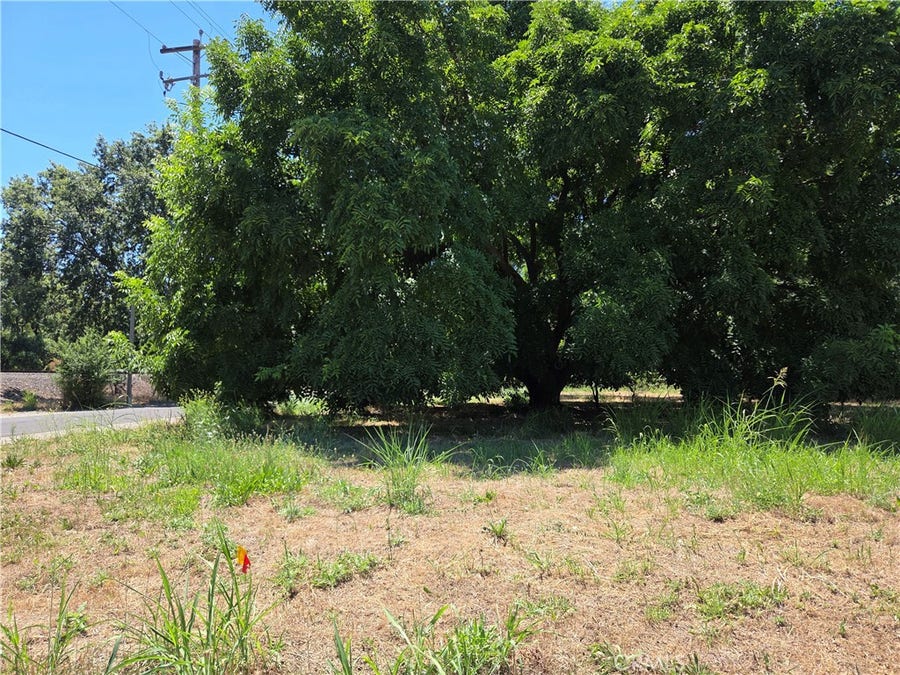 Property photo for 0 N. 2ND, Tehama, CA