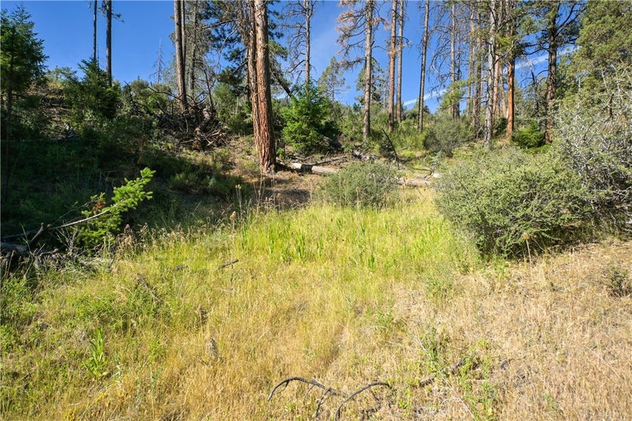 Property photo for 1 Duzel Creek Road, Fort Jones, CA