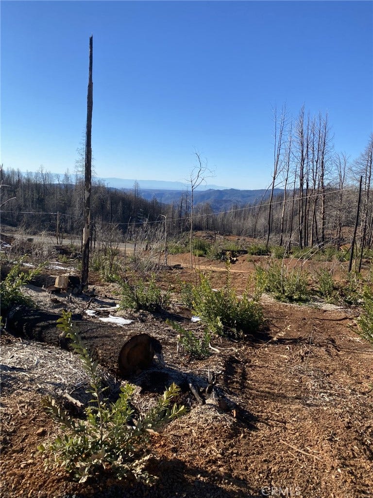 Property photo for 45 Fox Hill, Berry Creek, CA