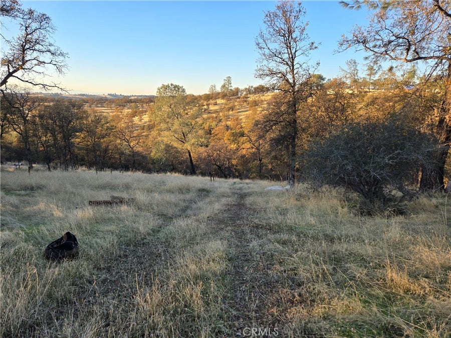Property photo for 0 Avacado Road, Bangor, CA
