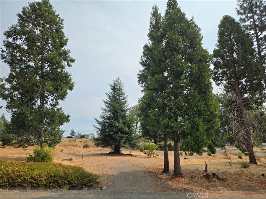 Property photo for 13549 S Park, Magalia, CA