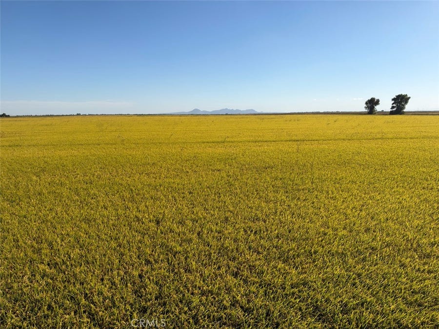 Property photo for 0 Lofgren Road, Richvale, CA