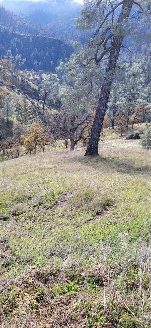 Property photo for 0 Cottonwood Creek, Igo, CA