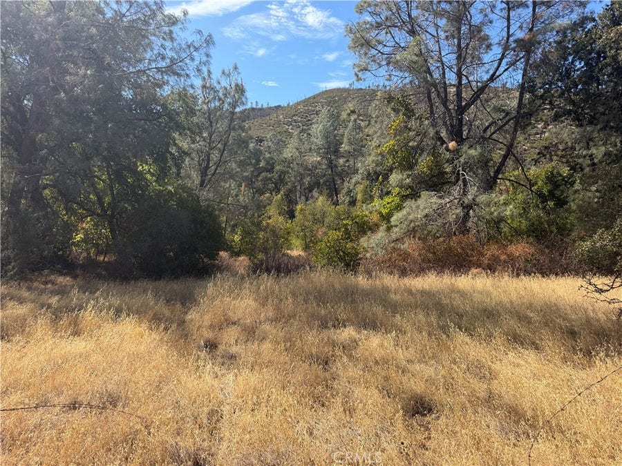 Property photo for 0 Goat Mountain Road, Stonyford, CA