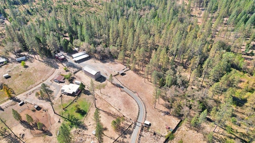 16558 Frenchtown, Brownsville, CA 95919 16558 Frenchtown, Brownsville, CA 95919
