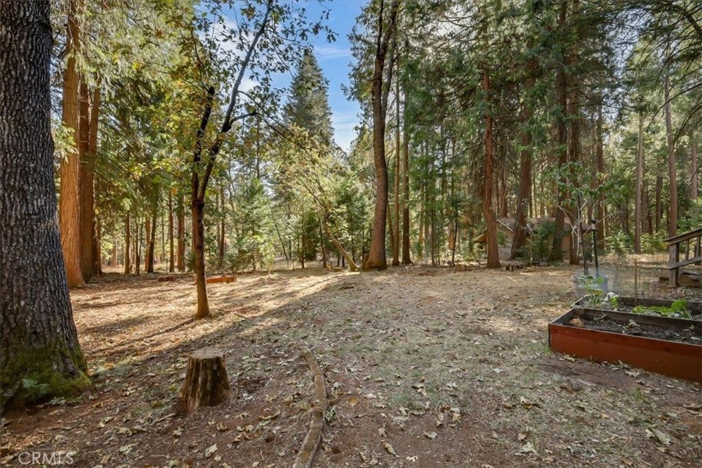 13411 Red Dog Rd., Nevada City, CA 95959