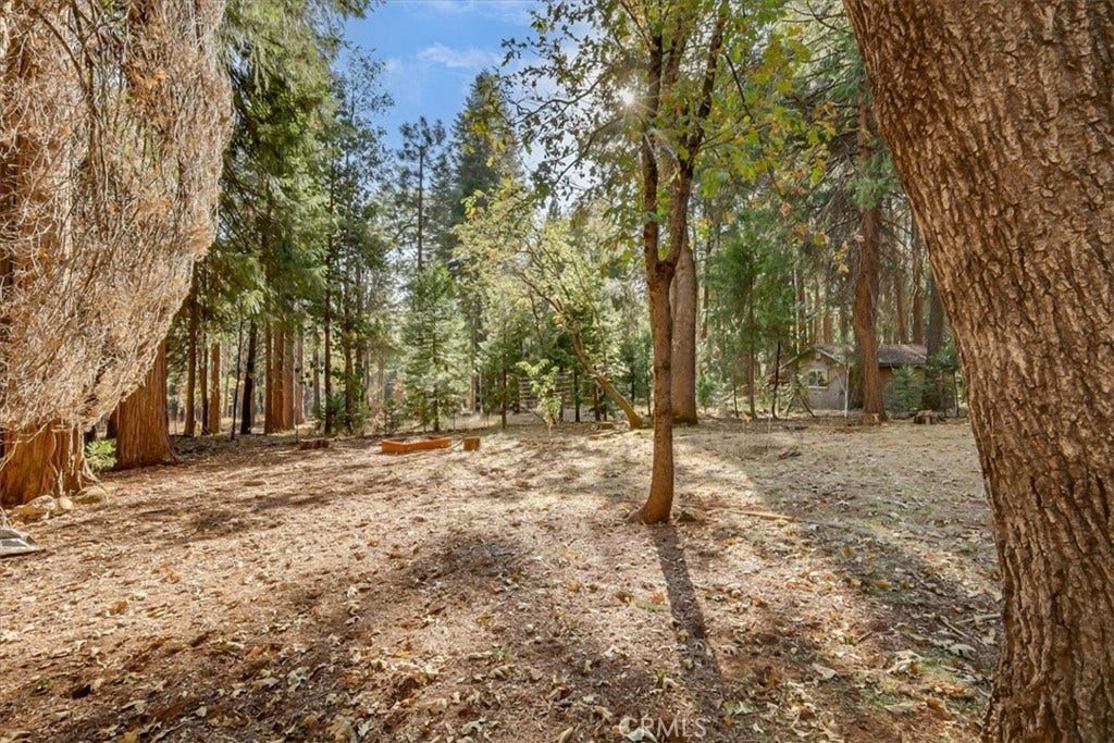 13411 Red Dog Rd., Nevada City, CA 95959